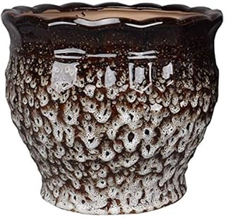 Extra wide ceramic flower jar for living room with hole for garden bonsai, ceramic flower support.. Experience the DIAYTAR difference with our vast product selection and delivery within 5-8 days.
