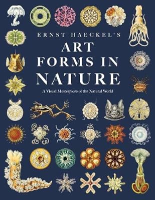 Art forms in the nature of Ernst Haeckel: a visual masterpiece of the natural world.. DIAYTAR NIGERIA: Empowering Nigerians with access to affordable products delivered within 8 days.