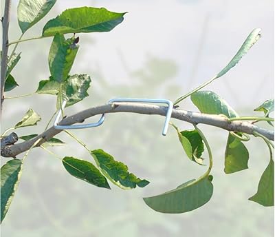 Kavinda fruit trees planting tool, horticulture branch extraction tool to support planting branches, support apple trees, cherry trees and plum trees.. With DIAYTAR Nigeria, you can browse through thousands of items at the best prices. Place your order today and receive it in less than a week.