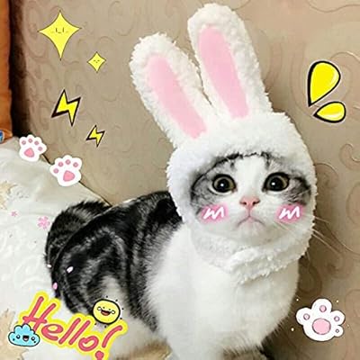 Halamodo Nice rabbit hat with ears for cats and small dogs.. From Lagos to Kano, DIAYTAR Nigeria delivers across Nigeria in days.