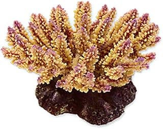 REPLICE OF NATURE IMAGE, ACOPORA, Beige and purple polyester 5.5 x 10 x 3.5 inches - NI -04B.. Shop with intention at DIAYTAR NIGERIA, offering thousands of products at budget-friendly prices.