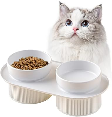 Newstyle ceramic cat bowl, long cervical column protector, anti-arrival pet food bowl, removable ceramic water bowl (white, double bowl).. Find everything you need at prices you'll love with DIAYTAR NIGERIA's comprehensive e-commerce platform.