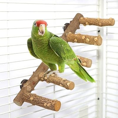 Chewing toy for parrot in the shape of natural wooden ladder The white shop for small and medium -sized parrots.. Shop smart and save with DIAYTAR NIGERIA's extensive product range and 5-8 day delivery guarantee.