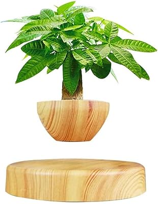 Garden pal floating plant (light color), raised plant pot for succulents, bonsai, air plants, floating flower pot, floating planter for home office decoration.. From checkout to your doorstep in less than a week — DIAYTAR Nigeria.