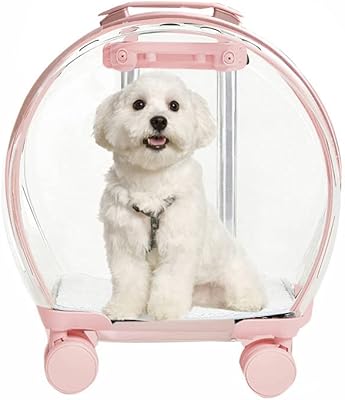 Cat hoxa bag, fully transparent pet portable box, breathable air box, large capacity bubble box.. DIAYTAR NIGERIA: Making online shopping accessible with affordable prices and nationwide delivery service.