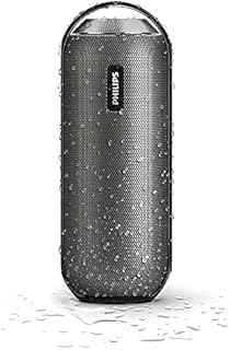 PHILIPS BT6000B/37 Lightning Wireless spells resistant to splash (metallic gray).. No more overpriced stores — DIAYTAR Nigeria brings the best to your door.