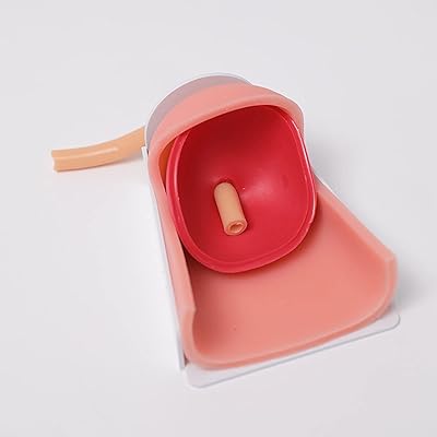 Laparoscopic surgery simulation model, anastomosis model of urethral bladder, training model, used for the practical teaching of students and teaching materials.. DIAYTAR NIGERIA connects you with thousands of products at competitive prices, delivered within a week.