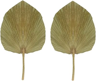 Yatai natural dried palm plants for home decoration, birthday parties, flower bouquets and composition of table bouquets - decorative palm paper (2).. Shop smarter, not harder with DIAYTAR NIGERIA - thousands of products at your fingertips with affordable delivery.