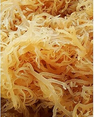 Yield of 1 natural sea foam book cultivated in bulk | Quality 100 % wild, raw, pure, dried in the sun | Supplement rich in vitamins and minerals for immunity, metabolism, collagen and thyroid by sweetsunnah 8 oz.. DIAYTAR NIGERIA combines extensive product options with budget-friendly prices, delivered in 5-8 days.