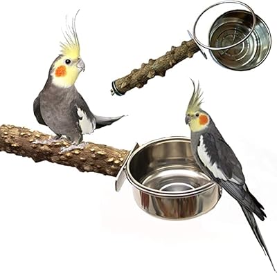 Natural wooden bird perch with stainless steel feeders and food bowls.. DIAYTAR NIGERIA: Connecting Nigerians with affordable products through our expansive e-commerce platform.