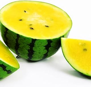 30 pieces of yellow watermelon seeds, beautiful color fruits can encourage children to like to plant and take advantage of the creation of an unusual gardening landscape.. Discover endless possibilities with DIAYTAR NIGERIA's extensive product range and affordable shipping.