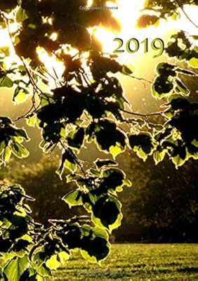 My Big Fat Calendar 2019 - Sun sheets (GB & US) - 1 day per page, DIN A4.. DIAYTAR NIGERIA brings the nation's largest product catalog to your doorstep at prices you'll appreciate.