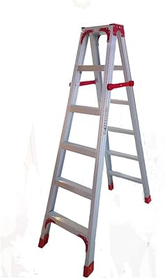 Double bidirectional scale in front of 6 steps.. DIAYTAR NIGERIA transforms online retail with unbeatable prices and consistent delivery timeframes.