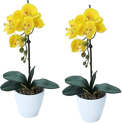 Yatai Lot of 2 artificial orchids - Artificial plants for home decoration - Artificial floral composition with pot - False flowers for decoration - festival ornaments (yellow).. Experience hassle-free shopping with DIAYTAR NIGERIA's user-friendly platform and prompt delivery service.