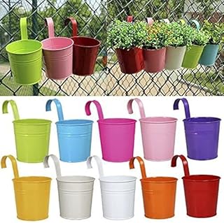 HELAN 10 pieces of metal flower jar suspended in iron, balcony planter pot with detachable hook, sustainable herbal pots perfect for the fence (6 inches).. DIAYTAR NIGERIA: Where quality products become affordable with our nationwide shipping service.