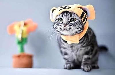 Funny cat hat, costume, different options: deer, sunflower, panther (panther).. DIAYTAR NIGERIA connects desires with reality through affordable prices and reliable delivery service.