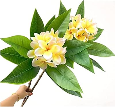 Oukeyi 35.5 inch Artificial flowers Artificial Frangle Realist Frangipanier Real Touch Artificial Plumeria Flowers for the House, Wedding Bouquet, Home Decoration (Yellow), Package of 2.. Whether you're in Lagos, Abuja, or anywhere in between, DIAYTAR Nigeria ensures your online shopping experience is smooth, affordable, and fast.