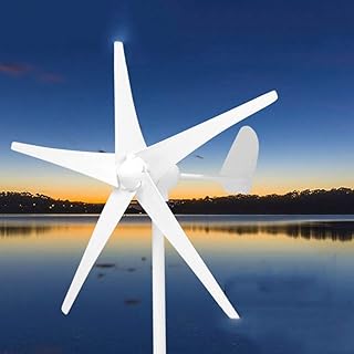 Wwart 8,000 W wind turbine kit, Domestic wind energy system 12 V/24 V/48 V, 5 blades for hybrid domestic lighting, electromagnetic use (color: 12 V).. DIAYTAR NIGERIA: Where every click leads to affordable purchases delivered promptly to your door.