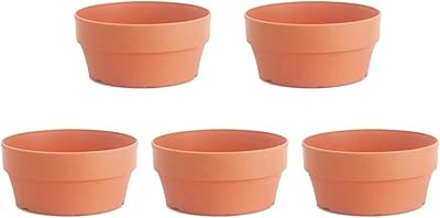 Plates pots Plastic nursery jars jars of round planters and succulent cactus basin.. Get everything you need without leaving your home. DIAYTAR Nigeria offers a seamless shopping experience and delivers your orders quickly and reliably.