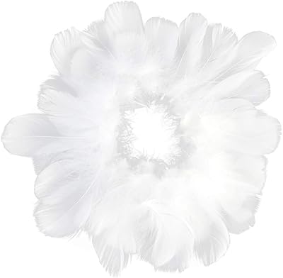 Obmwang 100 pieces 8-12 cm Natural goose feathers for home decoration, wedding festival or decorations for the white house OBM-97.. Experience the ease of modern shopping with DIAYTAR NIGERIA's comprehensive platform and quick delivery.