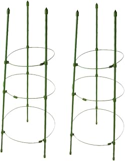 Hannabas Lot of 2 frames of climbing house monstera iron closing frame for support.. Shop with confidence at DIAYTAR NIGERIA, enjoying competitive prices and delivery within 8 days.