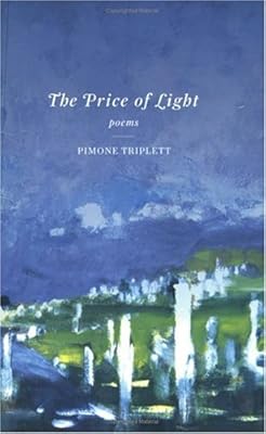 The price of light.. DIAYTAR Nigeria: Shopping that fits your budget and your schedule.