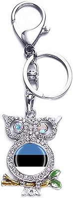 Metal keychain in the shape of an estonia 3D owl, souvenir keychain, bag decoration, pendant for men and women, gift accessories.. DIAYTAR NIGERIA combines affordability with convenience, delivering your purchases within 5-8 days.