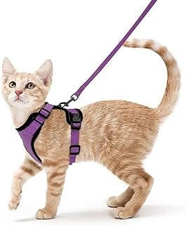 Anti-evasion cat harness in personalized adjustable mesh for walking (size XS, purple).. DIAYTAR NIGERIA makes online shopping accessible to all with budget-friendly prices and reliable delivery.