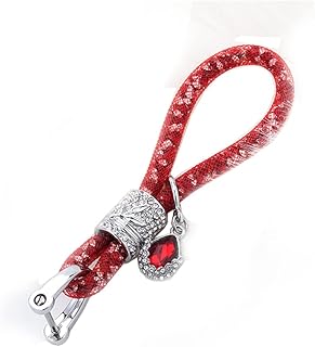 Rayhoo car keychain for women, keychain strap for BMW Honda Audi Lexus Ford VW Mercedes Nissan Cadillac Maserati Volvo Toyota etc. (red).. Get everything you need without leaving your home. DIAYTAR Nigeria offers a seamless shopping experience and delivers your orders quickly and reliably.