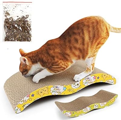 Griffing B1 for cats with recyclable recyclable pupil suitable for protection.. Shop smarter, not harder with DIAYTAR NIGERIA - thousands of products at your fingertips with affordable delivery.