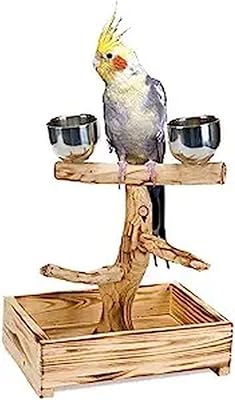 A wooden wooden wood model of small and medium-sized birds of ben-plax, including a lower tray and two stainless steel cups, size M.. DIAYTAR NIGERIA makes every shopping desire a reality with affordable prices and delivery in 5-8 days.