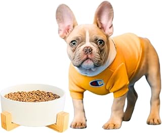 Betsari Gammel for dog and cat in ecological ceramic with bamboo support, robust bowl without spill and anti-tank, comfortable pet for pets with very high capacity (size l (white) ").. Nigeria's favorite online shopping platform, DIAYTAR offers unbeatable prices and delivery within a week.