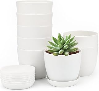King Luck 8 pieces of thick white plastic flower pots 10 cm small round plant pots with succulent plants and small plants.. Enjoy the simplicity of shopping with DIAYTAR NIGERIA, offering vast choices delivered in just 5-8 days.