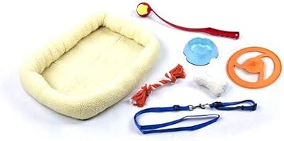 Gift box for dog PAW PALS 8 Inch MARKING KIT.. Shop with purpose at DIAYTAR NIGERIA and receive products at unbeatable prices within the week.