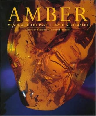 Amber: window on the past.. DIAYTAR NIGERIA: Where affordability and variety meet with convenient delivery within 8 days.