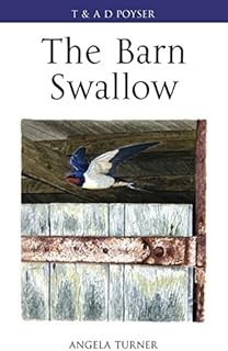 The rustic swallow.. Easy checkout, quick delivery — shop now on DIAYTAR Nigeria.