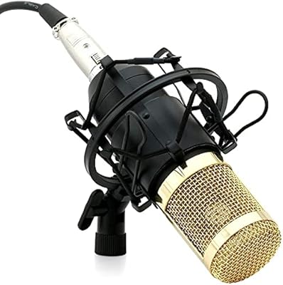 BM800 PowerBack BM800 Professional Professional Capper Microphone with antichoc support | Foam cover | XLR cable | Dynamic vocal recording (requires a ghost power).. DIAYTAR NIGERIA revolutionizes e-commerce with our affordable prices and dependable delivery timeframes.