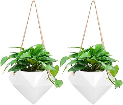 Geometric suspension potted plant wall support in modern ceramic ceramic exterior jar with strap.. Experience retail satisfaction with DIAYTAR NIGERIA's comprehensive platform and prompt shipping service.