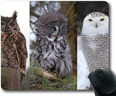 Large game mouse carpet, English owned English owl bodies with sewn edges.. Unlock a world of affordable products with DIAYTAR NIGERIA's expansive e-commerce platform.