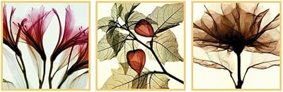 Yuantu modern wall decoration for the house, perfect for the living room, the bedroom, the office (100 x 100 cm (3 rooms/set)))).. Experience the DIAYTAR difference with our vast product selection and delivery within 5-8 days.