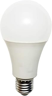 LED bulb FSL A70-14 14W E27 Hot white indoor & exterior.. Your trusted marketplace, DIAYTAR NIGERIA offers comprehensive selection with budget-friendly delivery.