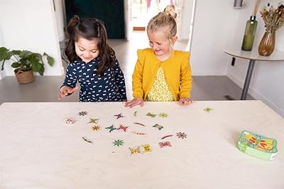 Catch-A-Butterfly Card Card with Contour Box from Scratch Europe.. DIAYTAR NIGERIA brings affordable shopping to your fingertips with reliable delivery in less than 8 days.