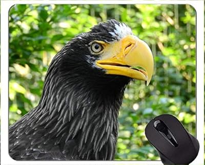 Eagles non-slip rubber game mouse carpet, Grand Duke's Hibou Duke Bureau Mouse Eurasian 190828-006 300*3 mm 3 mm.. DIAYTAR NIGERIA: Where affordable shopping meets reliable nationwide delivery in less than a week.