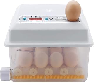16 Egg incubator L Machine fully automatic poultry hatching LED Display temperature control and humidity for duck blin.. DIAYTAR NIGERIA: Where shopping is a pleasure with affordable prices and reliable delivery service.