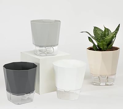 Wish flowers, pack of 4 pots of 6.8 -inch automatic watering plastic flowers to water plants.. Shop with confidence at DIAYTAR NIGERIA, enjoying competitive prices and delivery within 8 days.