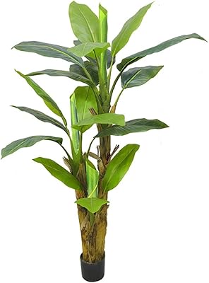Artificial ARECA palm trees and banana trees, realistic KWAI tree for interior and exterior garden decoration, new house opening gifts (1.65 m/banana).. Unlock a world of affordable products with DIAYTAR NIGERIA's expansive e-commerce platform.