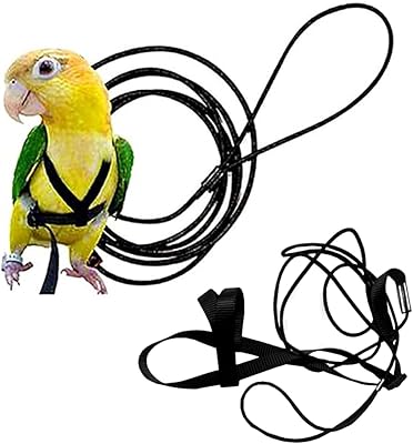 Harnes and leash adjustable for parrot, dressage supplies for pets, anti-bitter, flying rope for conure, parrot, inseparable, capopsy, Myna.. Your complete shopping solution, DIAYTAR NIGERIA offers extensive choice with competitive prices and delivery.