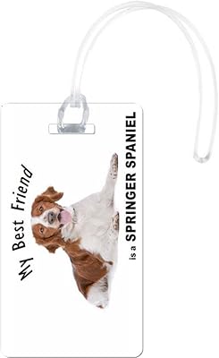 Rikki Knight Brown White Business Dog Springer spaniel spaniel.. Experience the convenience of boundless shopping with DIAYTAR NIGERIA's affordable platform and quick shipping.