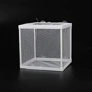 B & K fish farming box frying frying in nylon mesh fluttering floating fish.. DIAYTAR NIGERIA: Where value meets variety with reliable nationwide delivery in under 8 days.