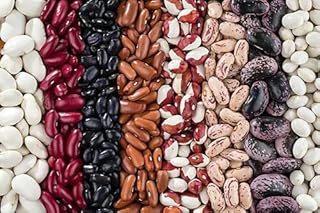 100 white bean seeds - Phaseolus vulgaris.. Thousands of choices. Zero hassle. All thanks to DIAYTAR Nigeria.